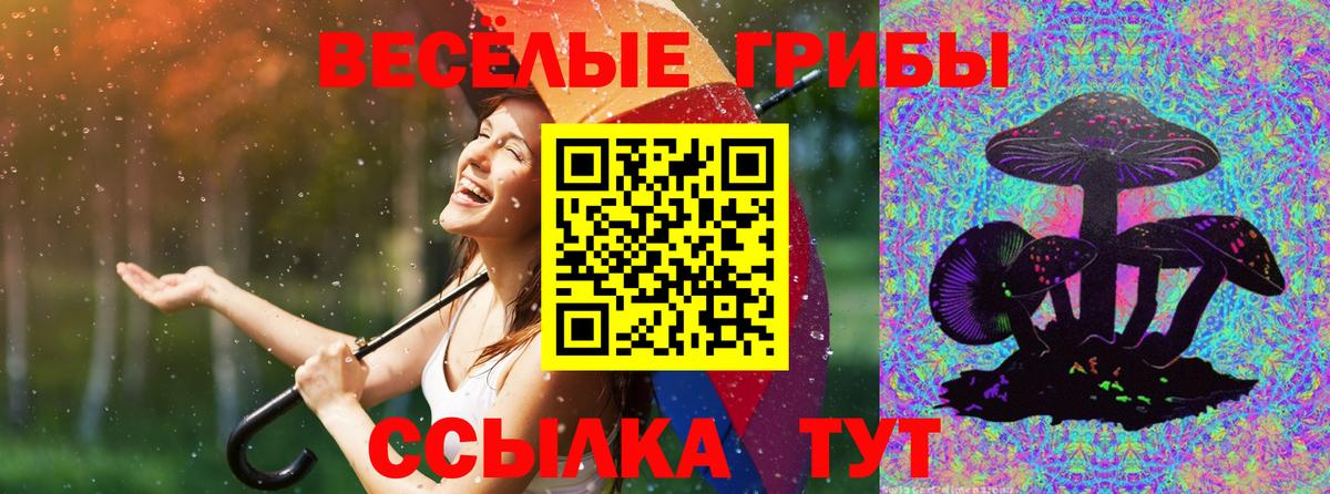 Реж  Галлюциногенные грибы мицелий  как найти закладки  Вход с VPN 