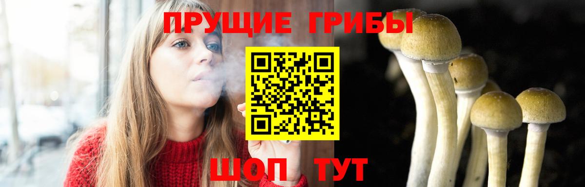 Галлюциногенные грибы прущие грибы Реж